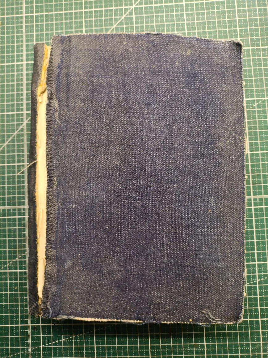 Приведение в порядок книги 1901 г.