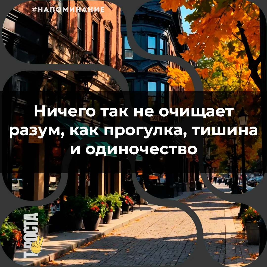 Точка роста
