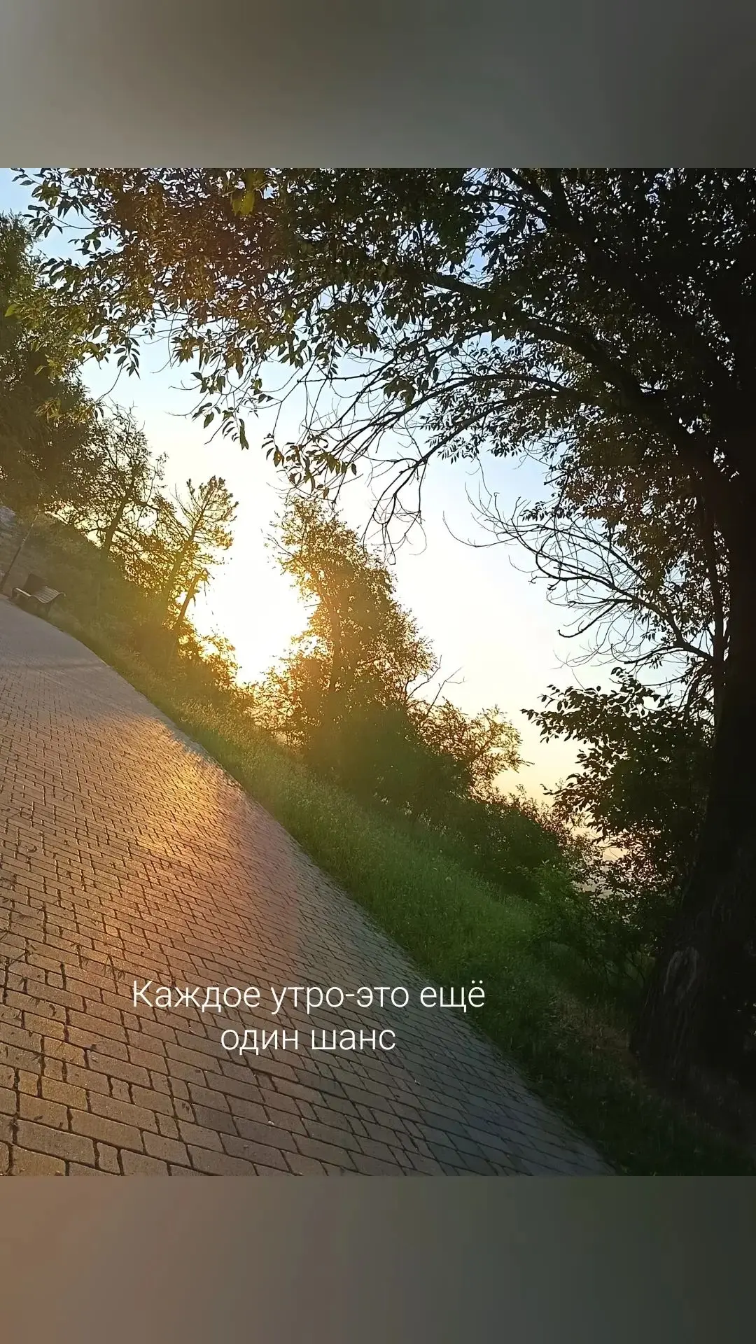 Моё утро — мой фундамент успеха