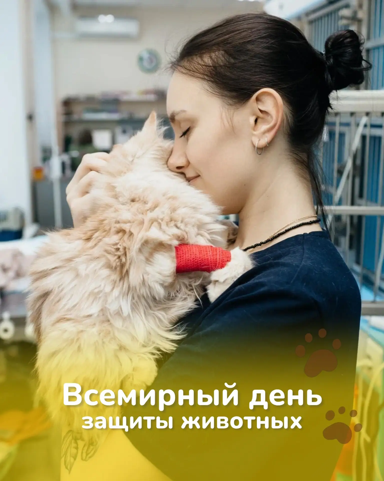 Вчера был Всемирный день защиты животных