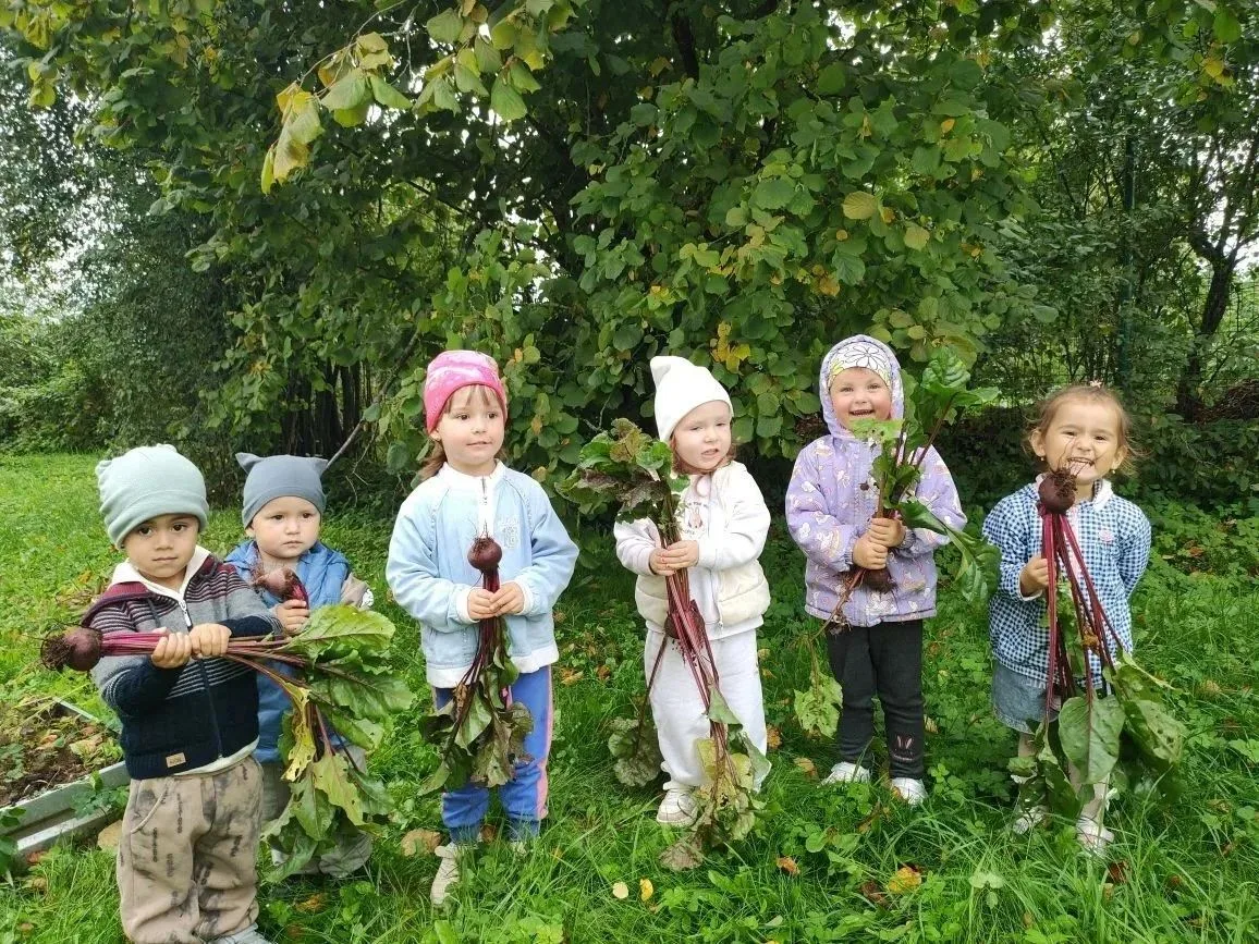 🎉 Урожайный день в детском саду! 🎉Сегодня наши малыши стали настоящими огородниками —...