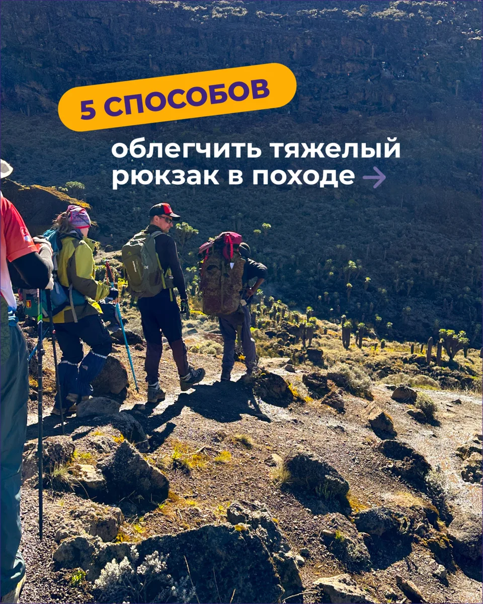 Собрали для вас 5 проверенных способов, как не надорвать спину в походе — листайте кару...