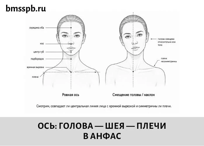 ГОЛОВА ВПЕРЁД, ПЛЕЧИ ВВЕРХ: ПОЧЕМУ В БМС ВАЖНО СМОТРЕТЬ НЕ ТОЛЬКО НА ЛИЦО?