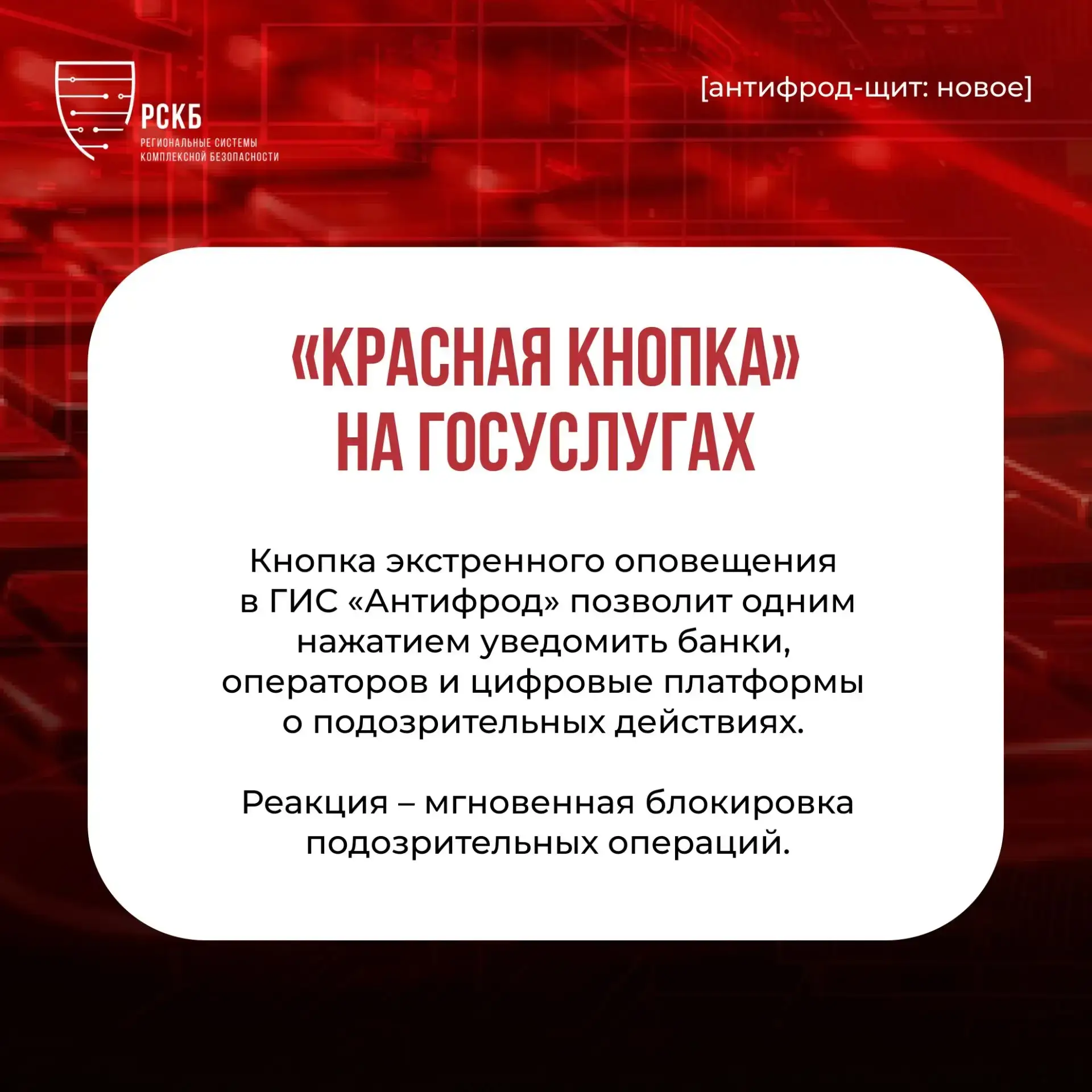 Госдума приняла второй пакет мер против кибермошенников 🖍️