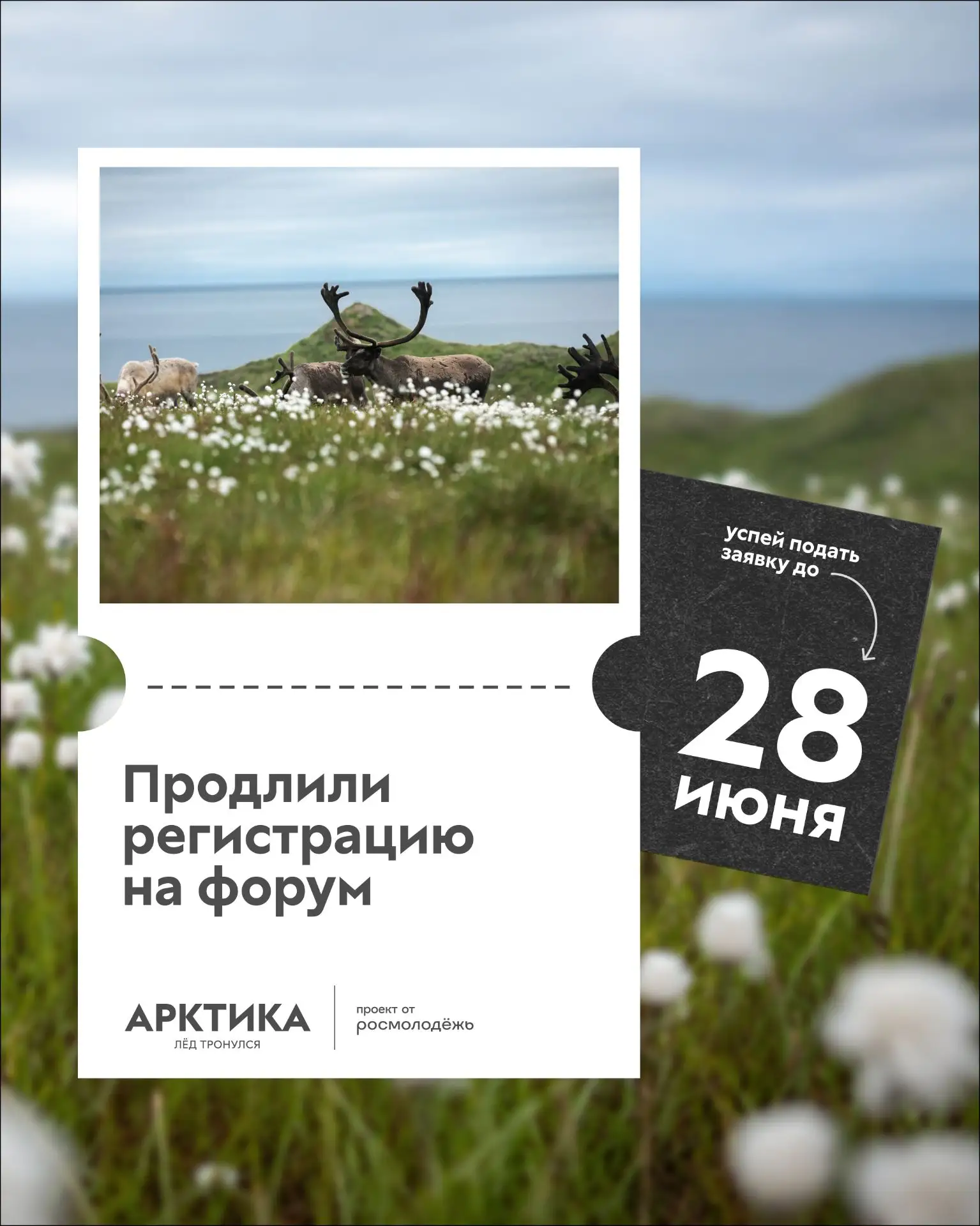 Не упусти свой шанс стать частью главного молодёжного события лета!

С 17 по 22 августа в Нарьян-Мар