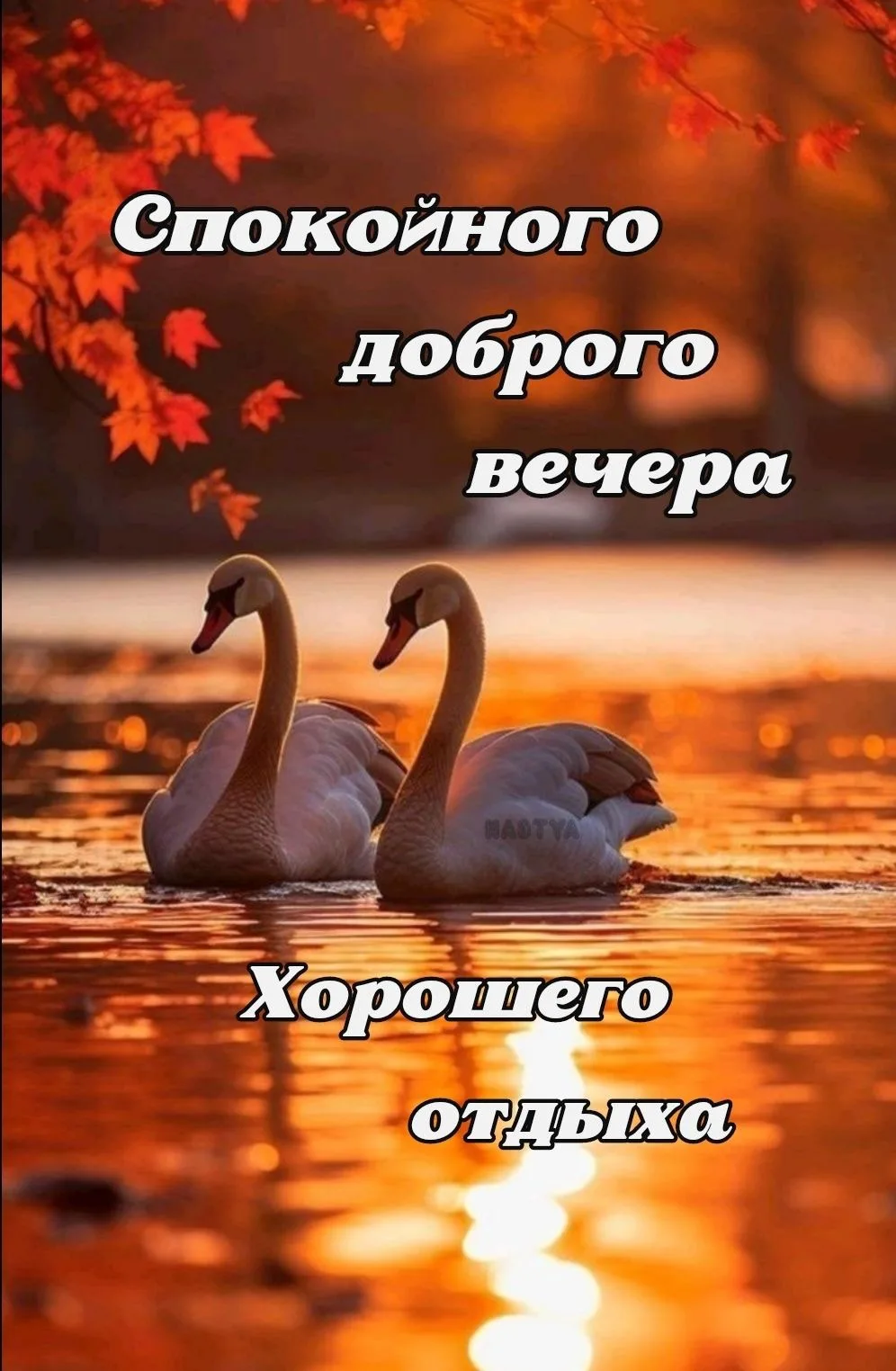 Женские открытки💝