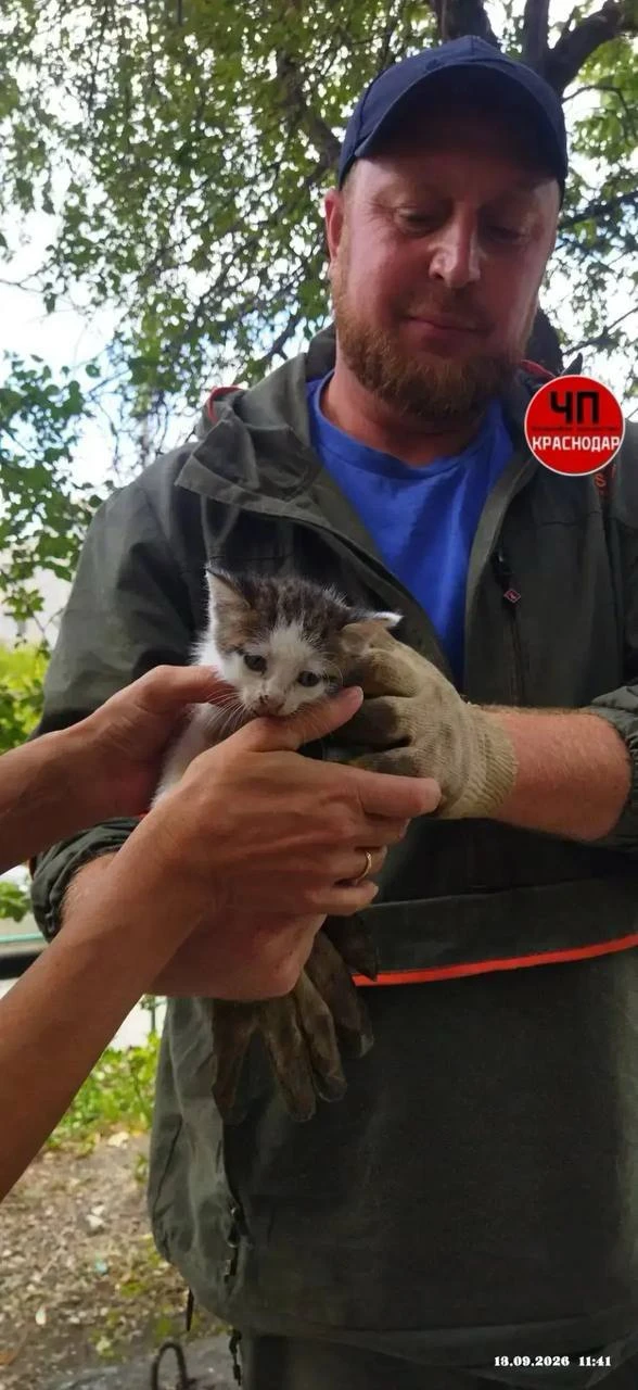 🙏Спасатели достали котенка из колодца в Новороссийске