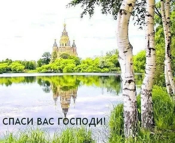 Новости сбора: меньше чем за сутки на все собрали! Слава Богу, по молитвам батюшки Серафима Саровско