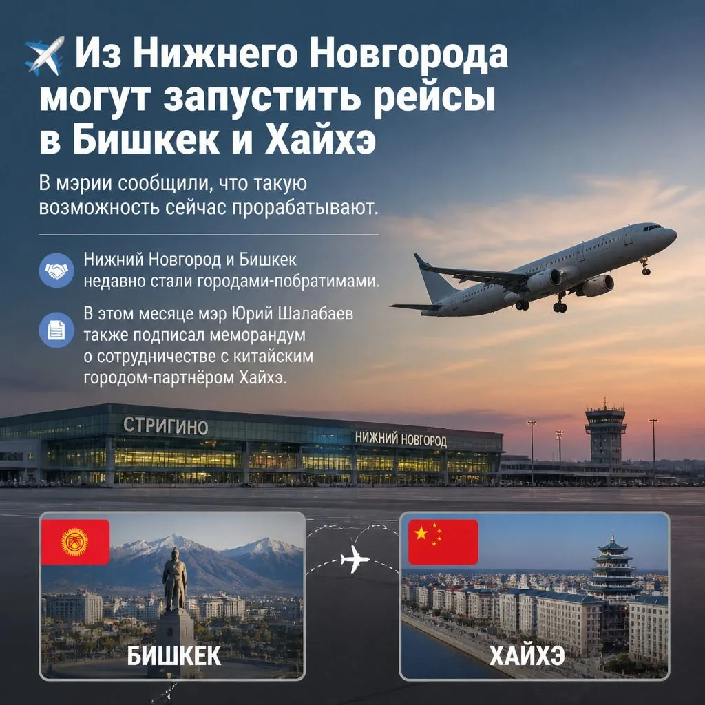 Из Нижнего Новгорода могут запустить рейсы в Бишкек и Хайхэ
