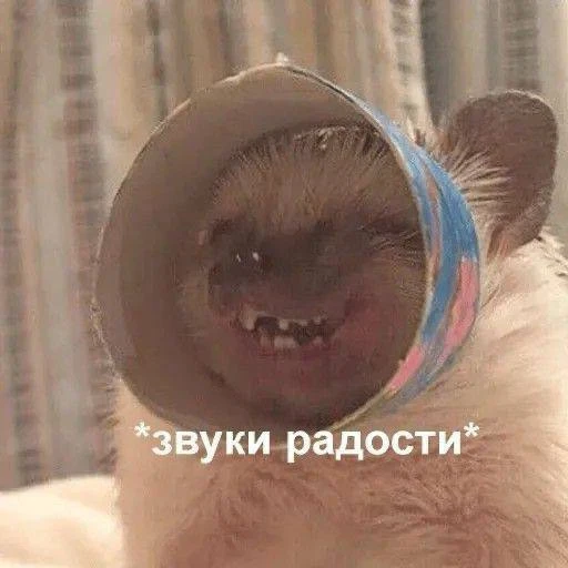 В эфире рубрика «Бальзам на душу».
