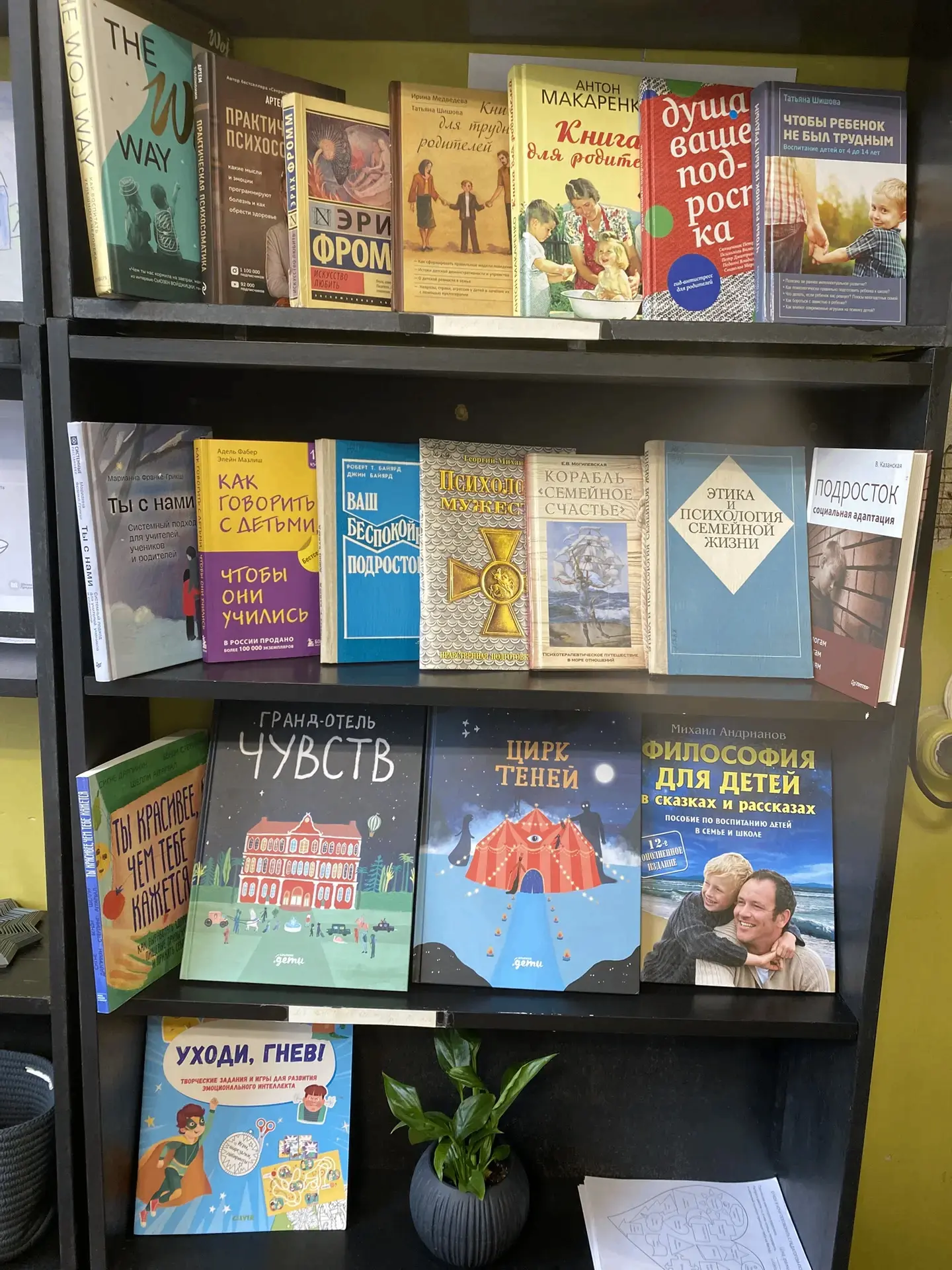 Выставка психологической литературы  

В кабинете психолога открыта подборка книг по психологии, пед