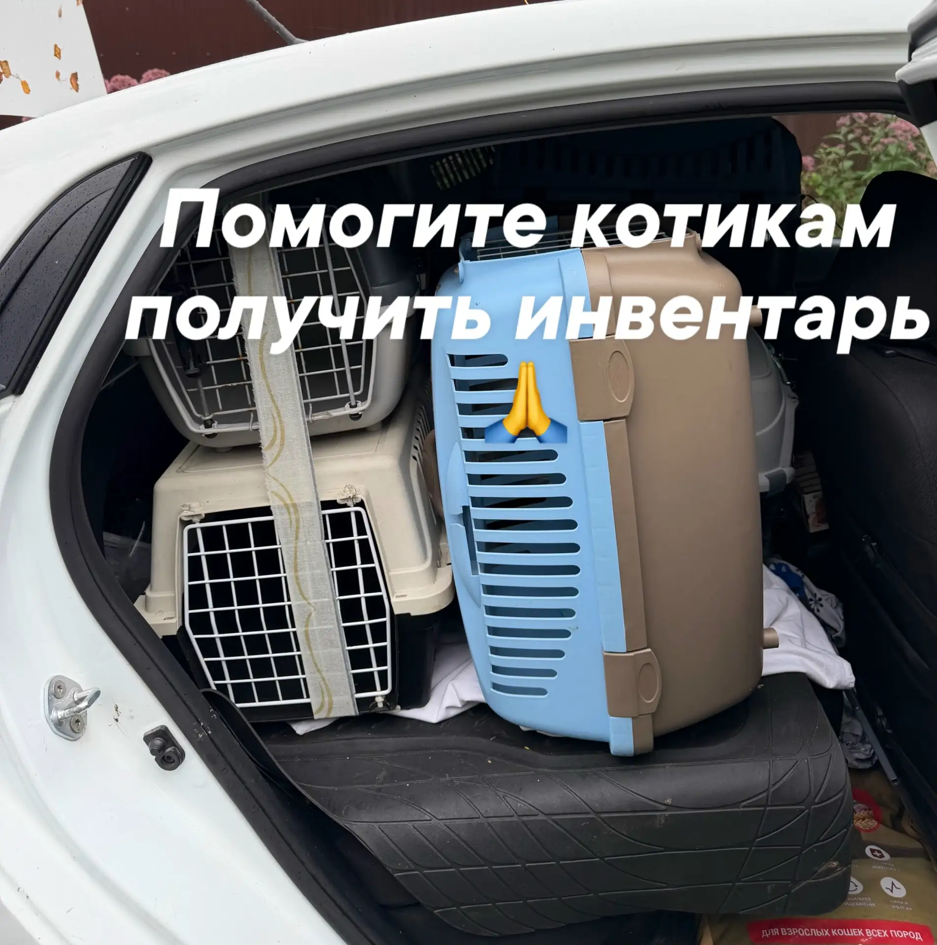 Дорогие соседи!🚨 В воскресенье, в 14.05 на 100 км или в 14.10 в Чаще  очень нужна помо...