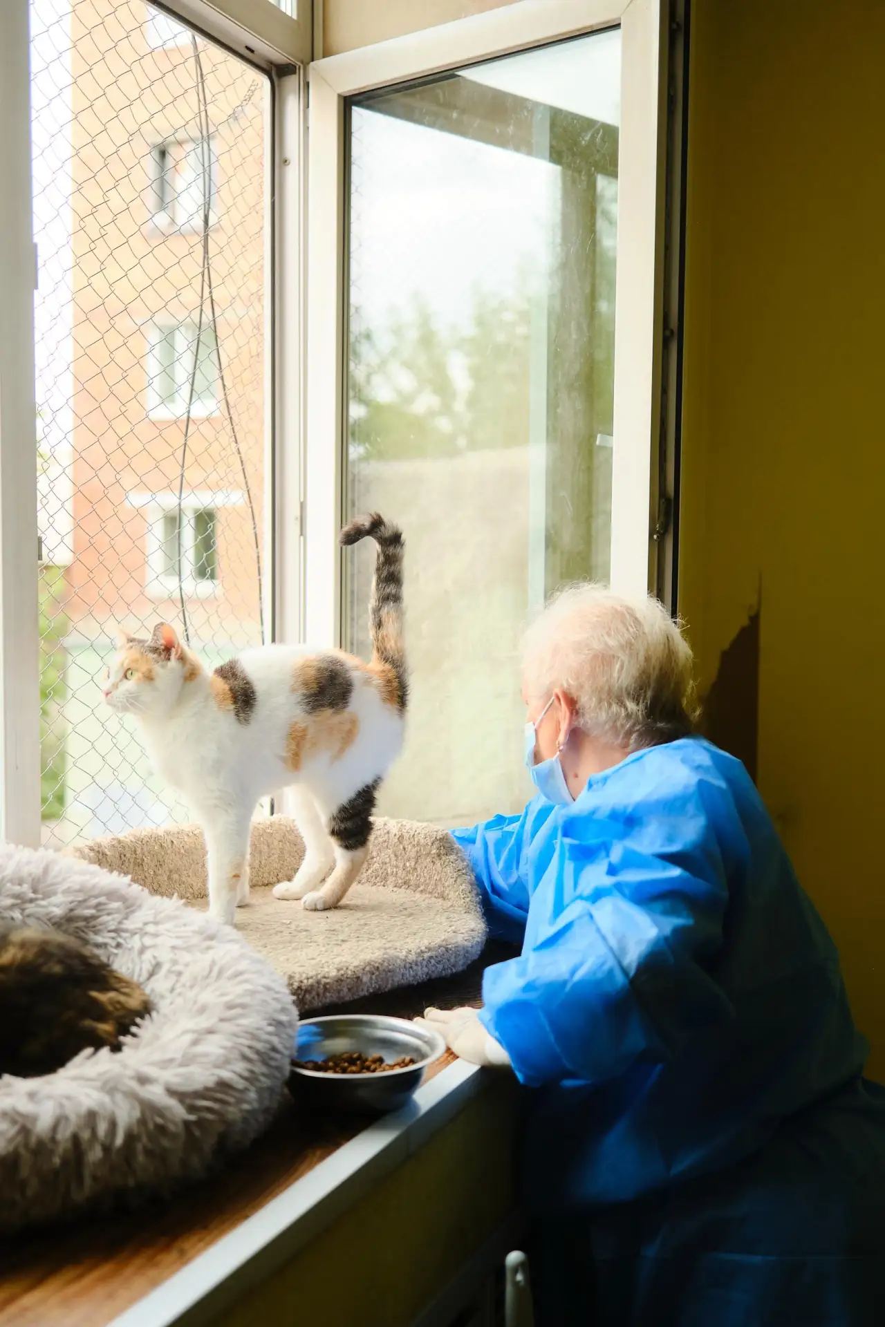 День, который прошёл с пользой🐱