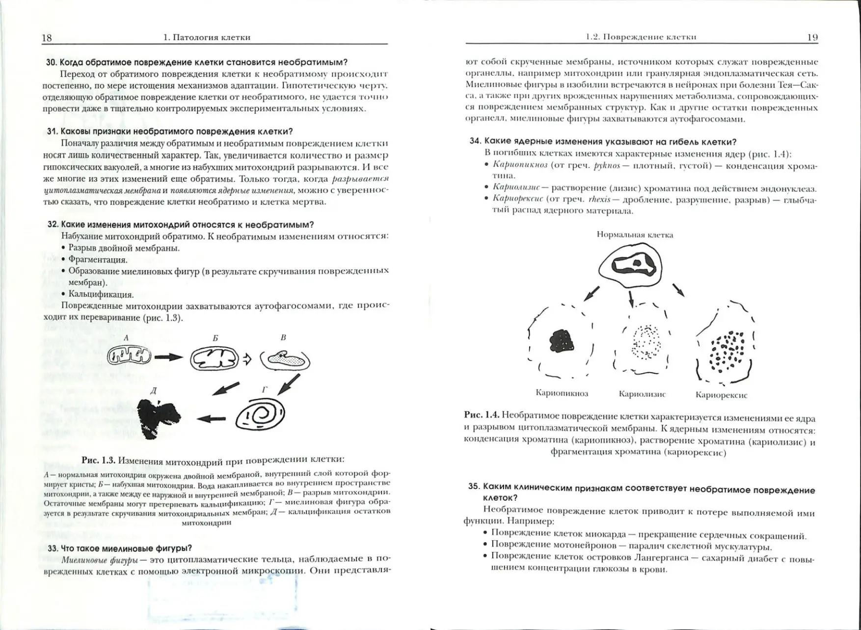 Патология клетки