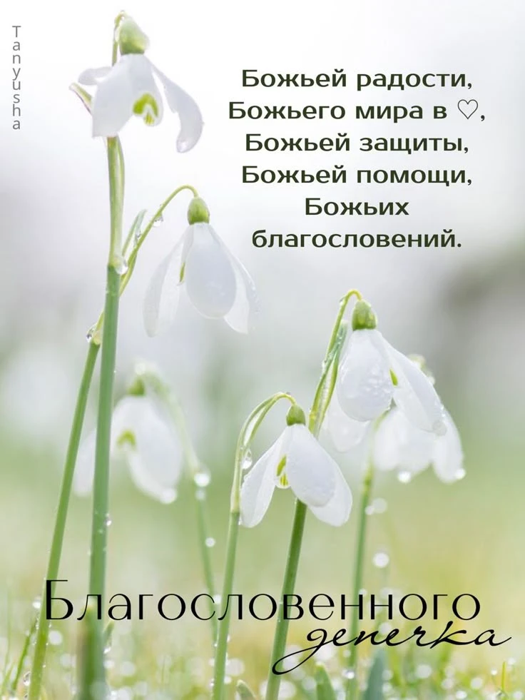❤️❤️❤️❤️Открытки❤️❤️❤️❤️