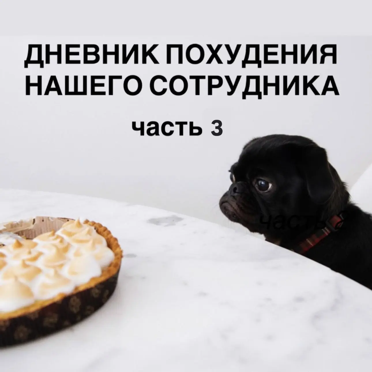 P.S. Этот дневник анонимно ведёт наш сотрудник, который пошел худеть в «Борменталь» 🤫