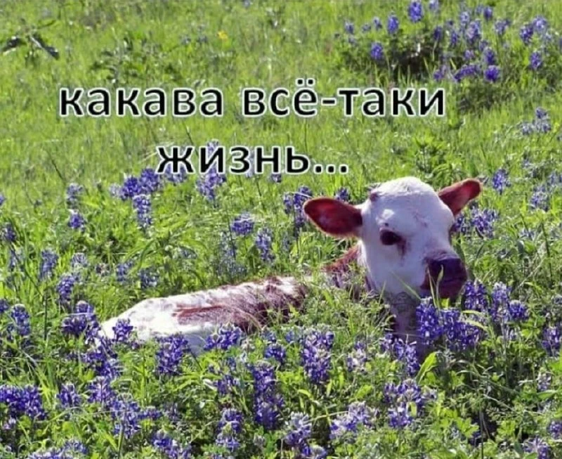 ПОВ: вечер воскресенья/вечер понедельника