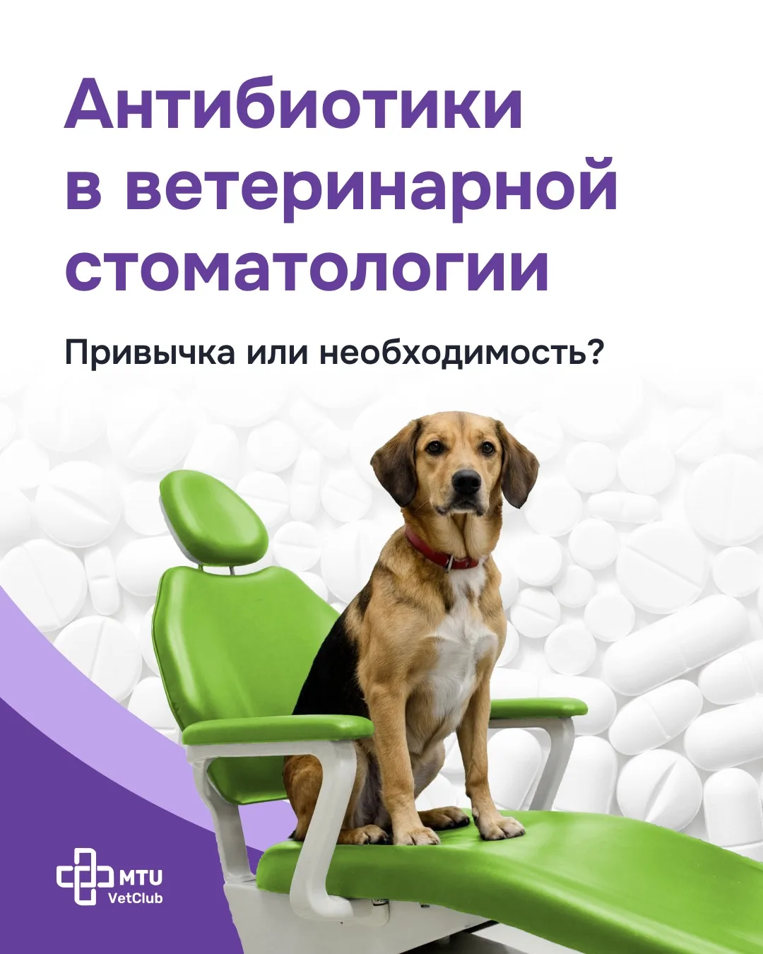 Антибиотики в ветеринарной стоматологии: привычка или необходимость?

В 2024 году было опубликовано 