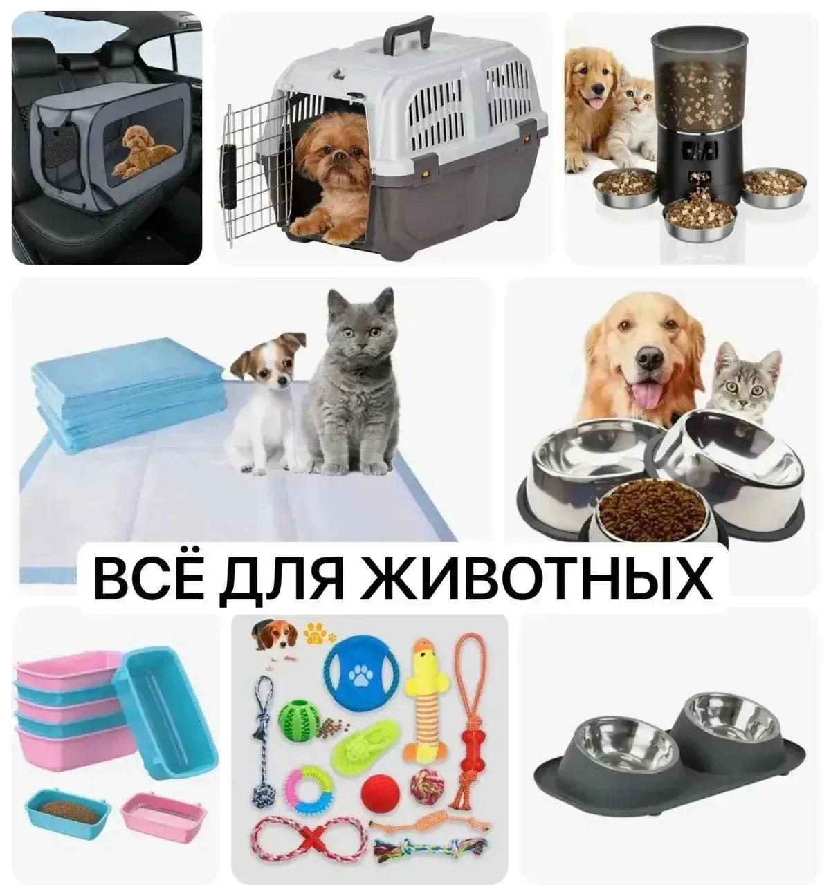 Содержать животных выгодно с нашими промокодами: