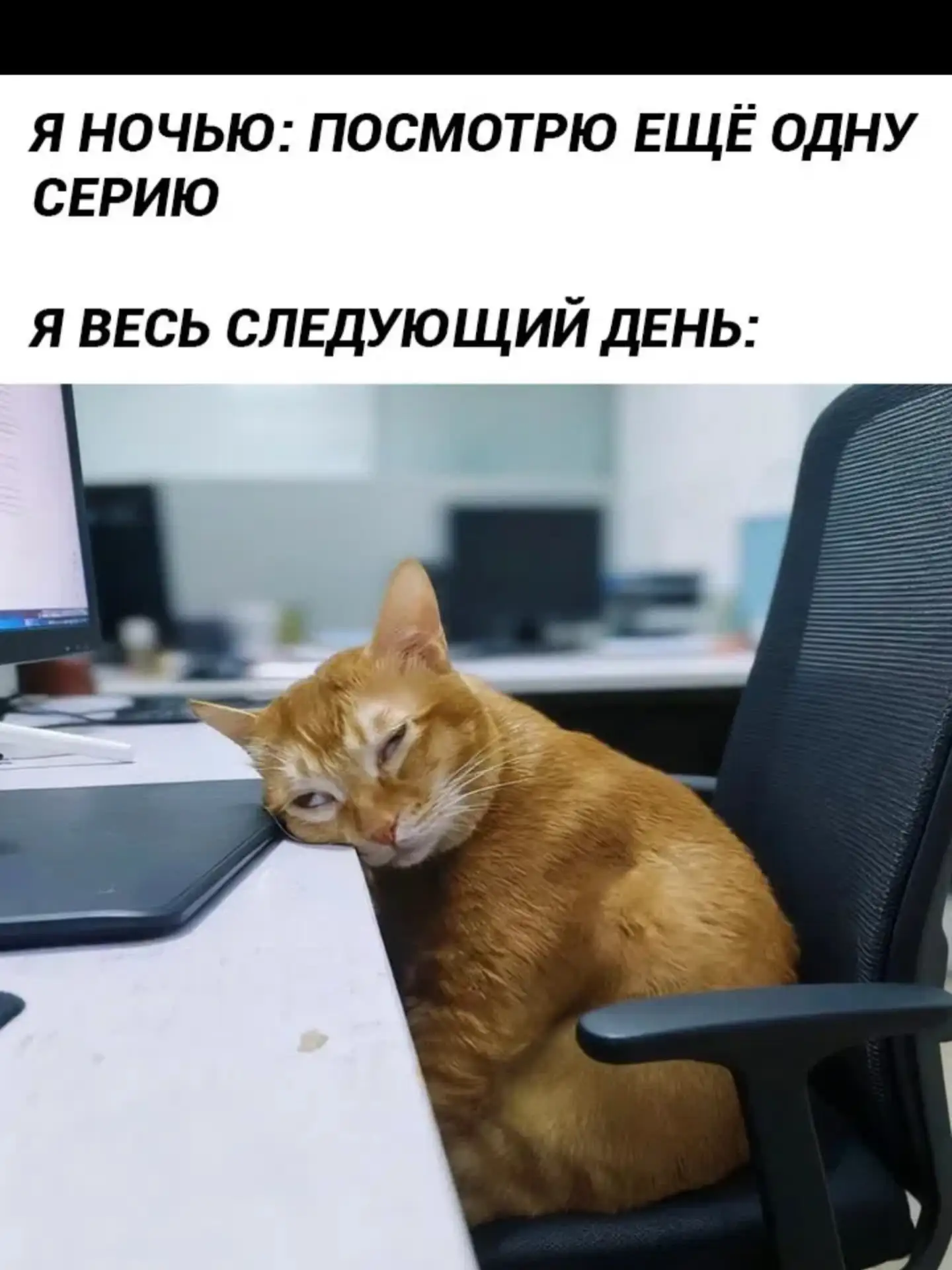 Женский юмор - Подписаться