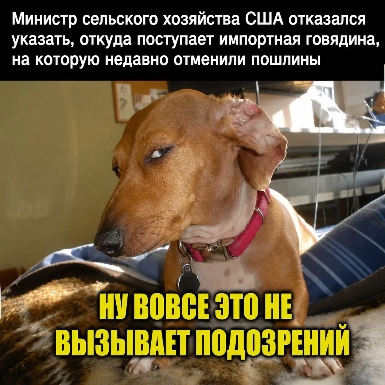 Милею тоже нужно на что-то жить!