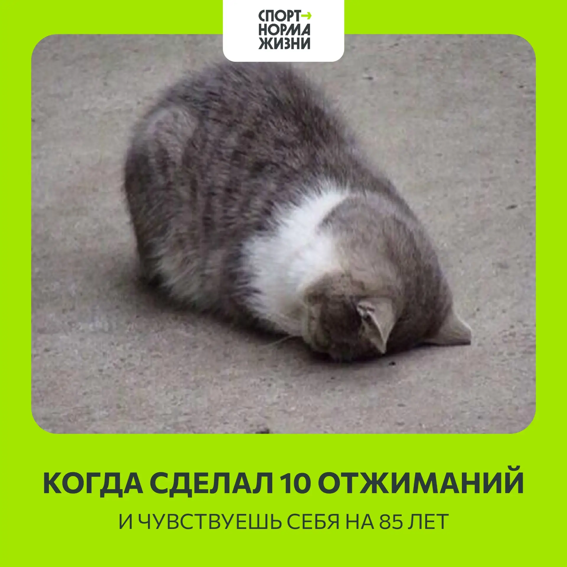 Кто узнал себя? Ставьте🫶