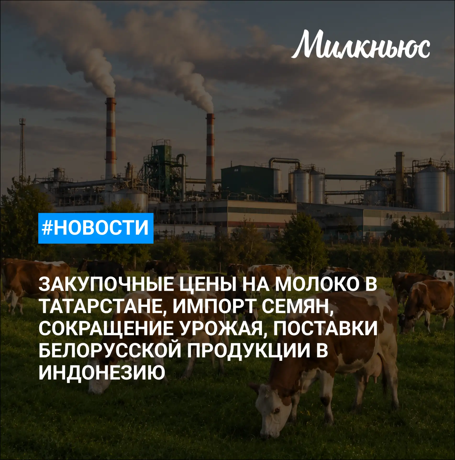 🐮 Основатель агрохолдинга «Русское молоко» Василий Бойко-Великий вышел на свободу

🐮 Закупочные це