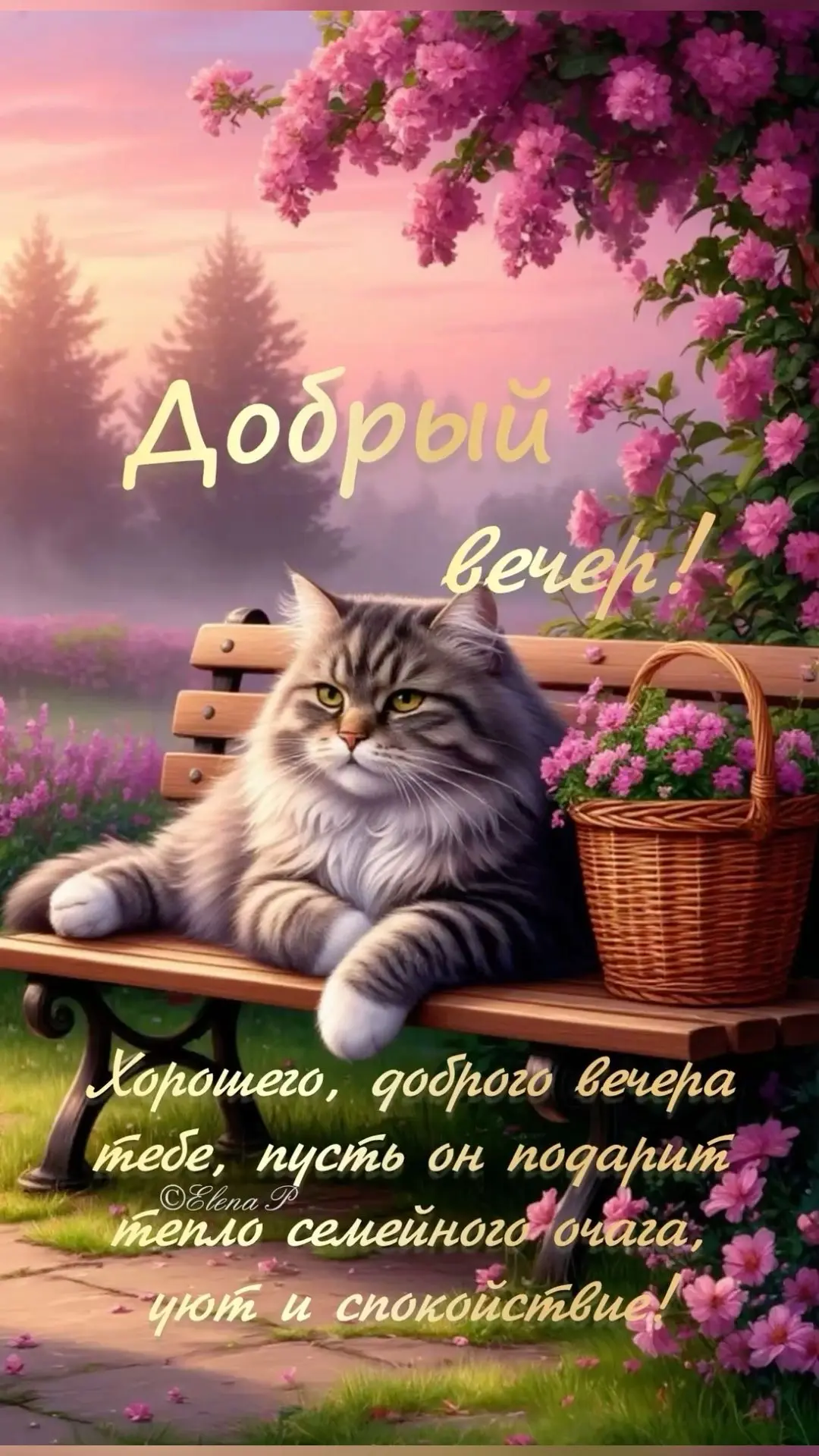 Рай открыток | Открытки 🥰