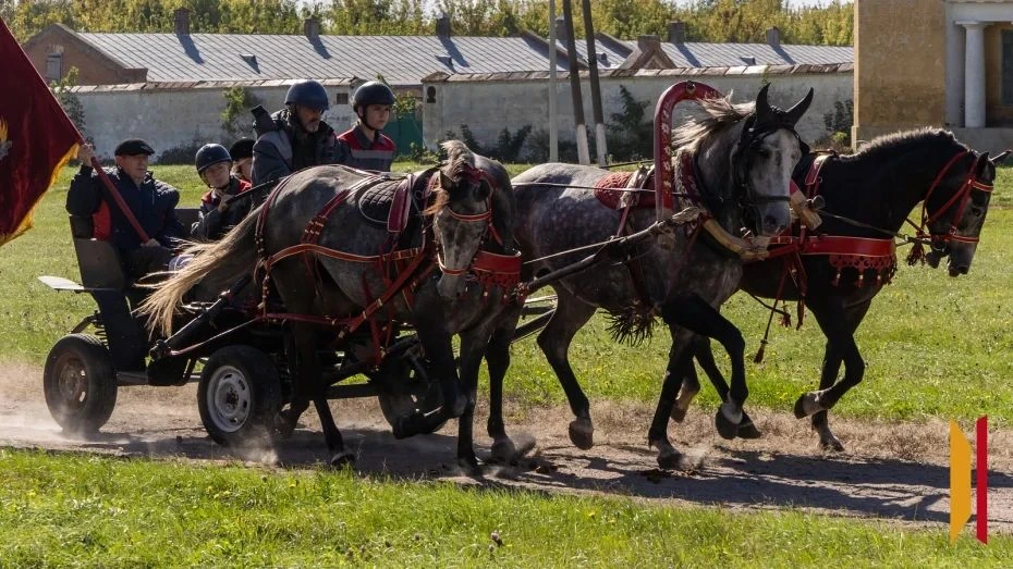 В Воронежской области отпраздновали 250 лет Хреновскому конному заводу