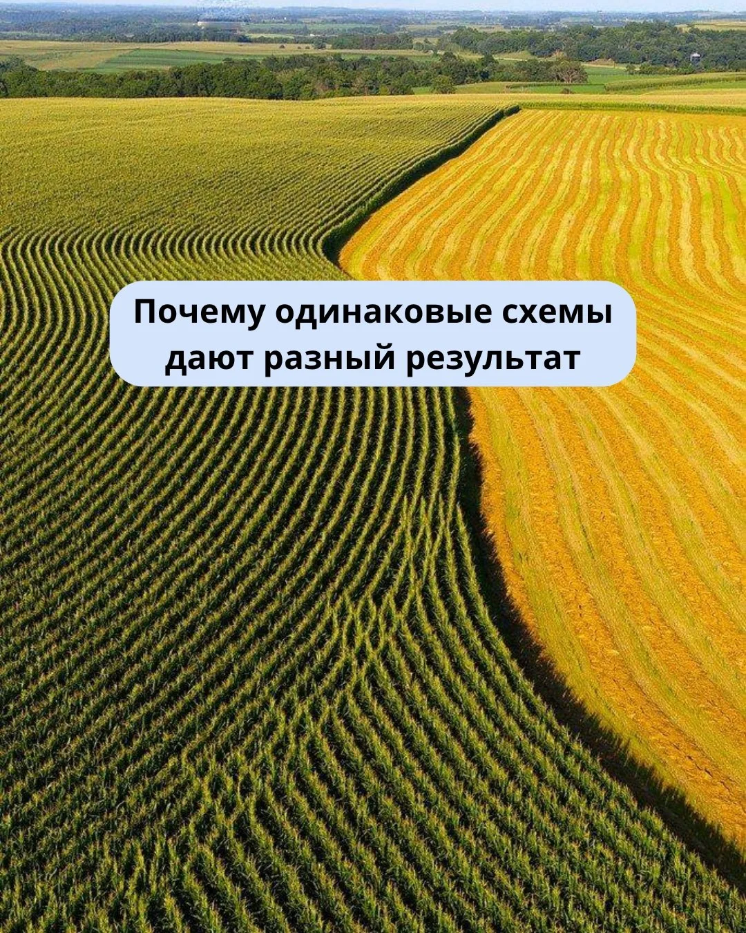 Частая ситуация в хозяйствах: схема применения одна и та же, а результат на разных поля...