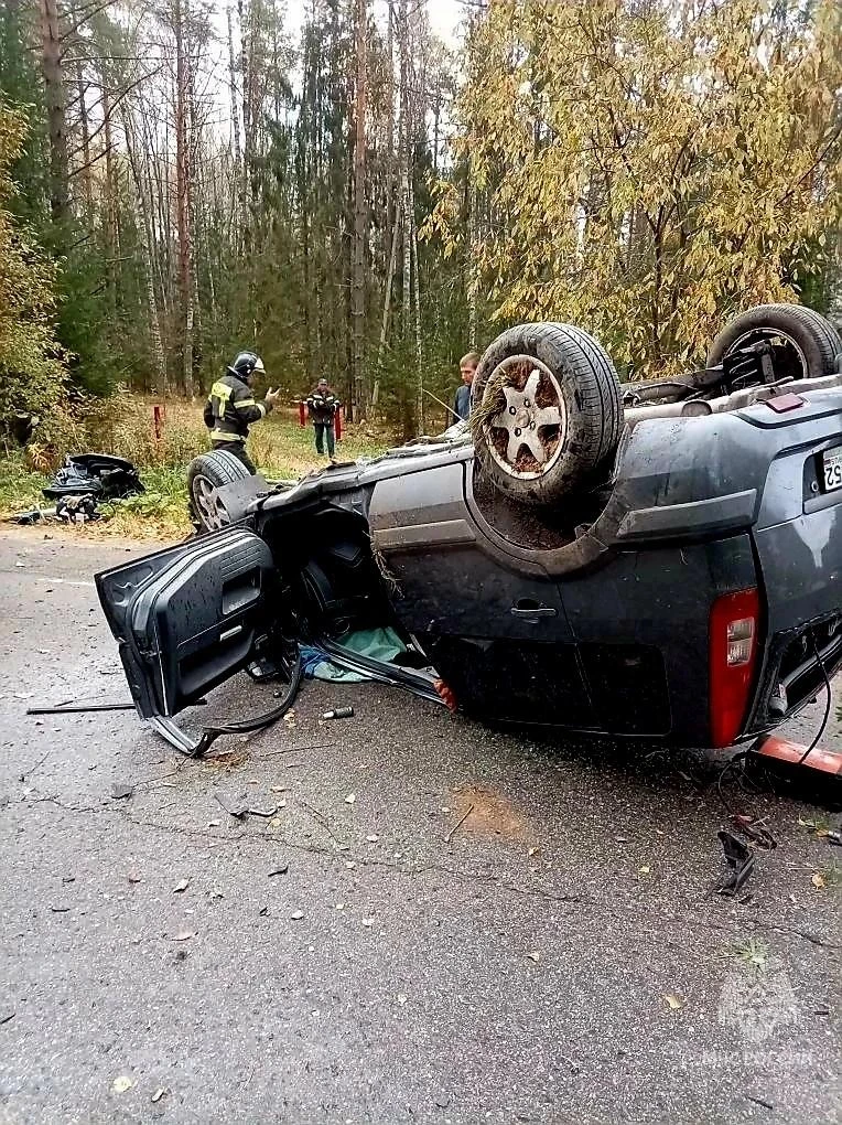 МЧС показало страшные кадры с места смертельного ДТП в Семеновском округе.