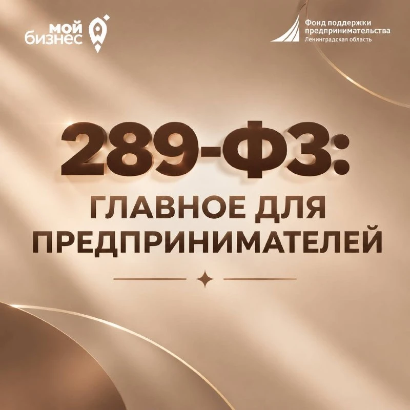 ❗️289-ФЗ: главное для предпринимателей