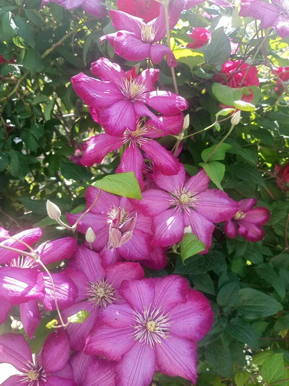 🌺Пока вы вовсю отдыхаете и строите планы на грядущую неделю, мы продолжаем цветочные выходные.  Ваше
