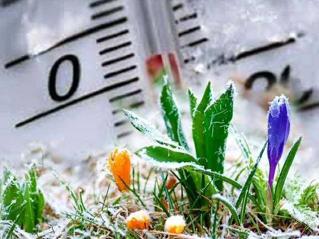 ЕДДС ПРЕДУПРЕЖДАЕТ