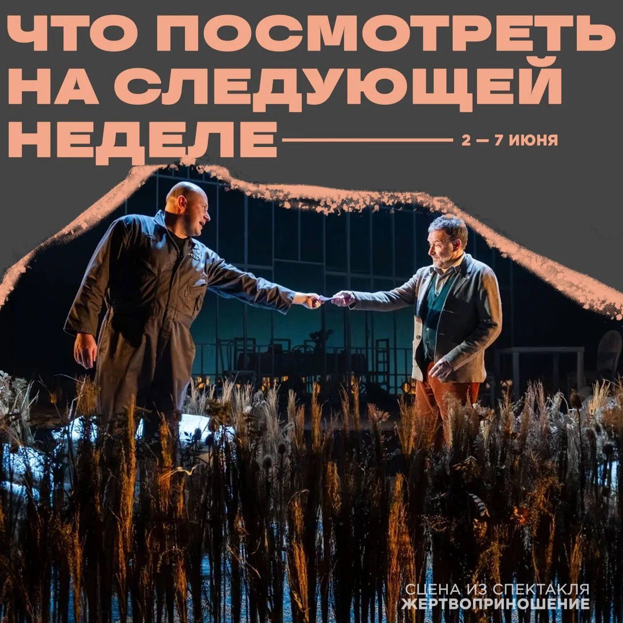 Рассказываем, какие спектакли пройдут в Театре на Васильевском с 2 по 7 июня.