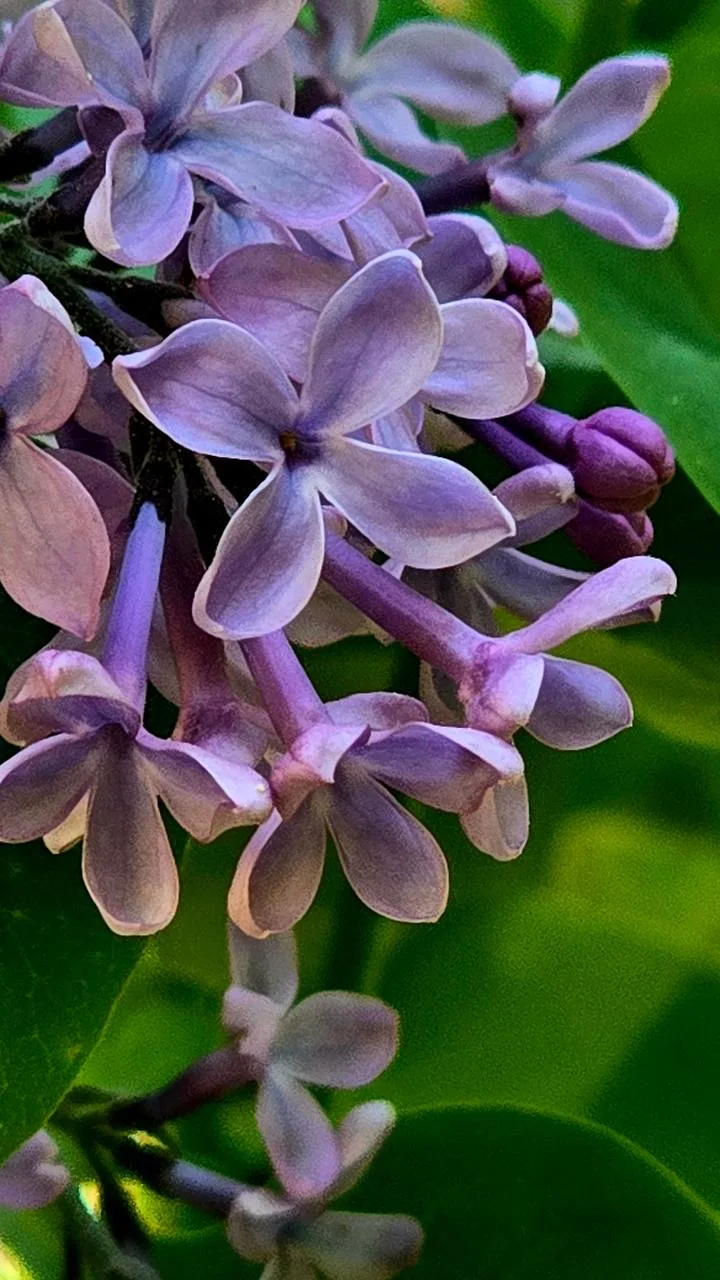 Доброе утро, Южный!🌿

Наступили выходные – дни, которые ждали многие из вас. Суббота не подарит нам