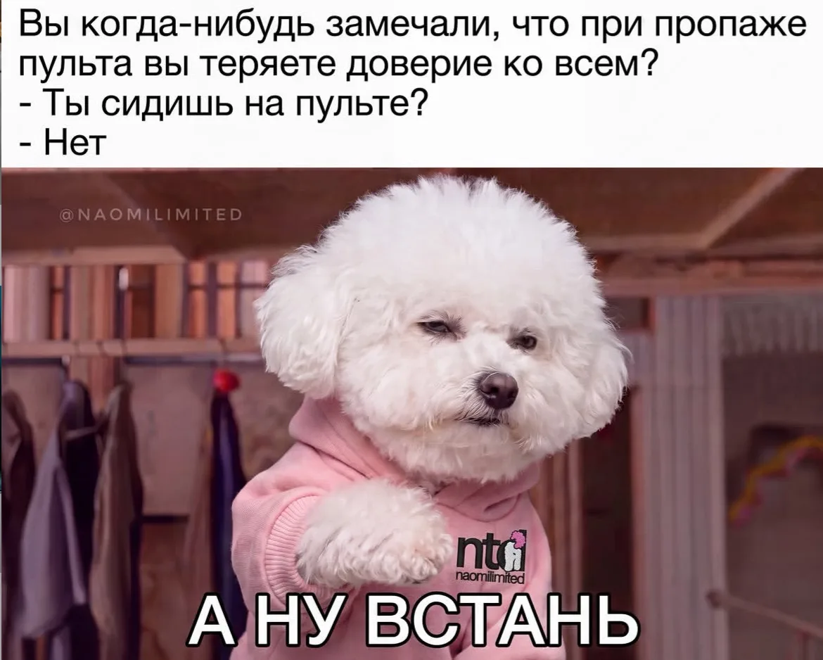 Дурилка картонная