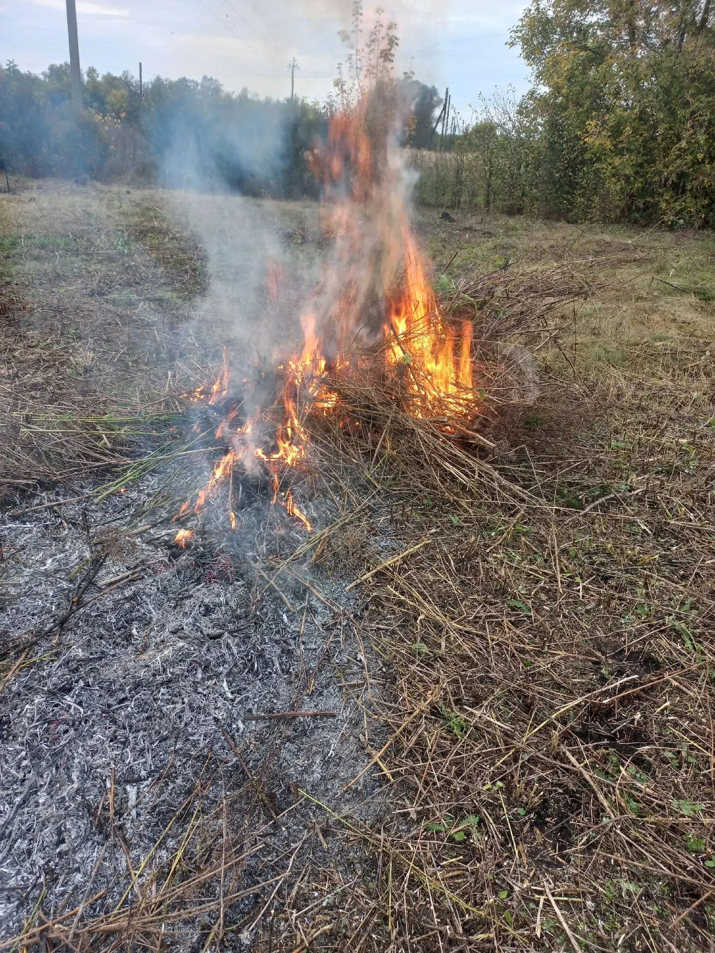 Володя сегодня покосил и убрал заросшую часть участка🔥🔥🔥 сто лет руки не доходили до...