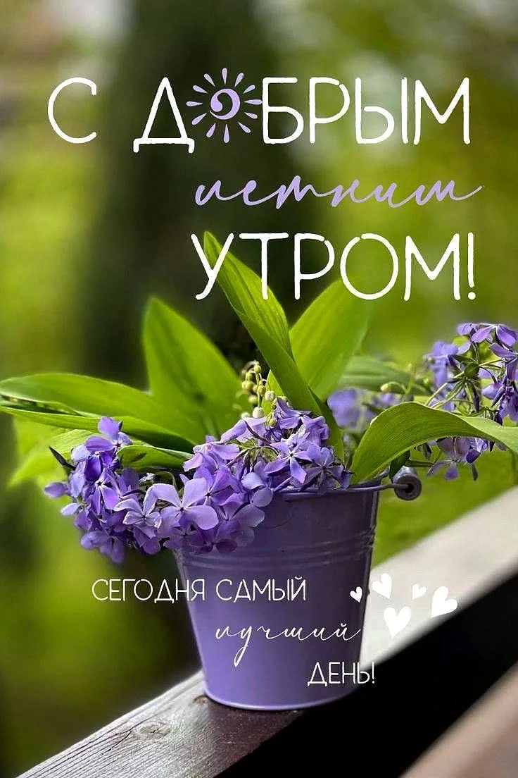 Поздравления Открытки ❤️