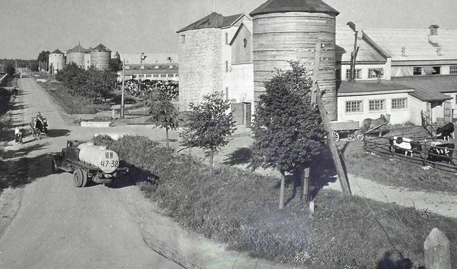 Коровники в Коммунарке в  1949 году.