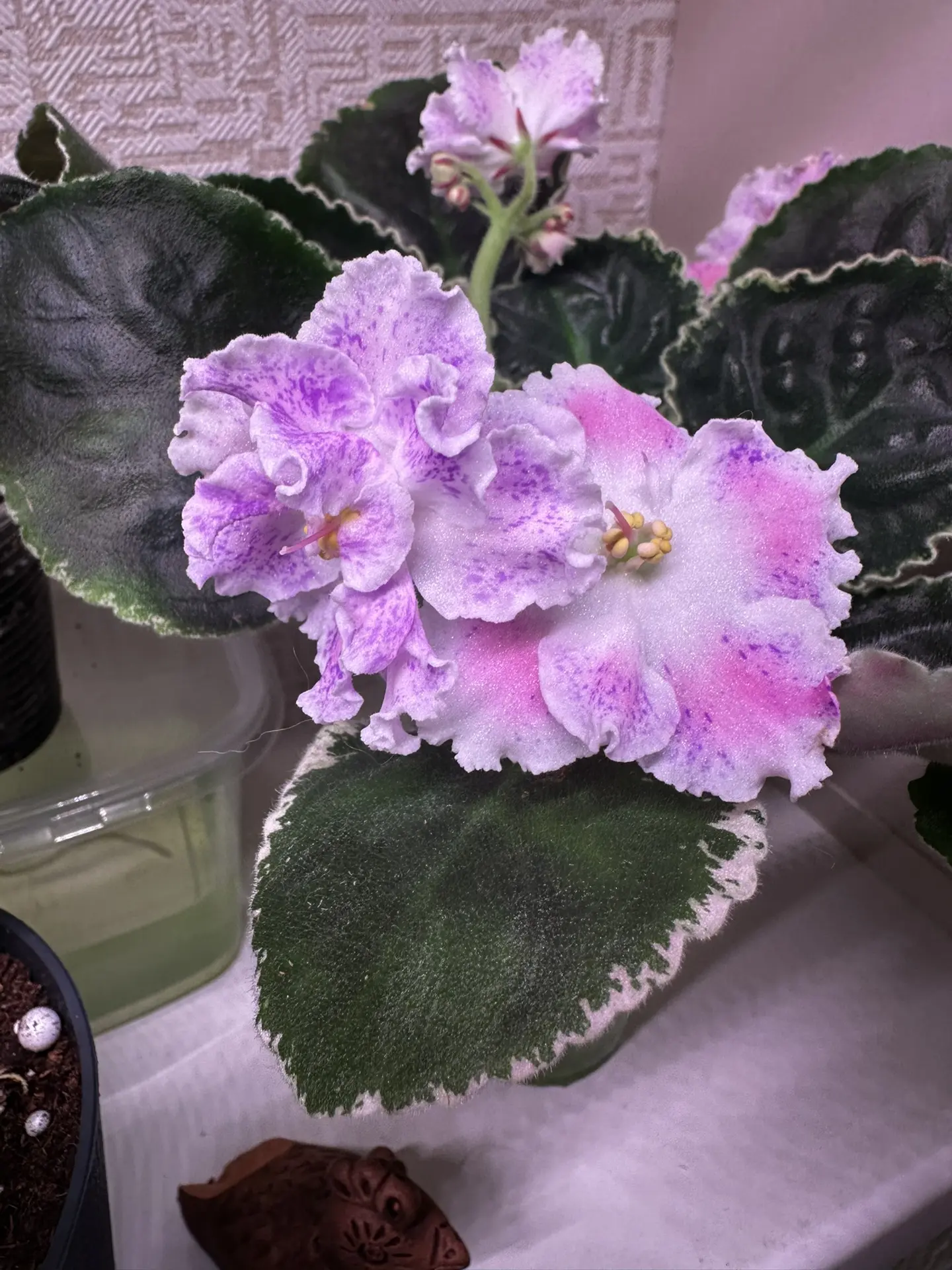 Немного вечерней красоты 😊
У каждого из нас есть свои увлечения , которые позволяют нам расслабитьс