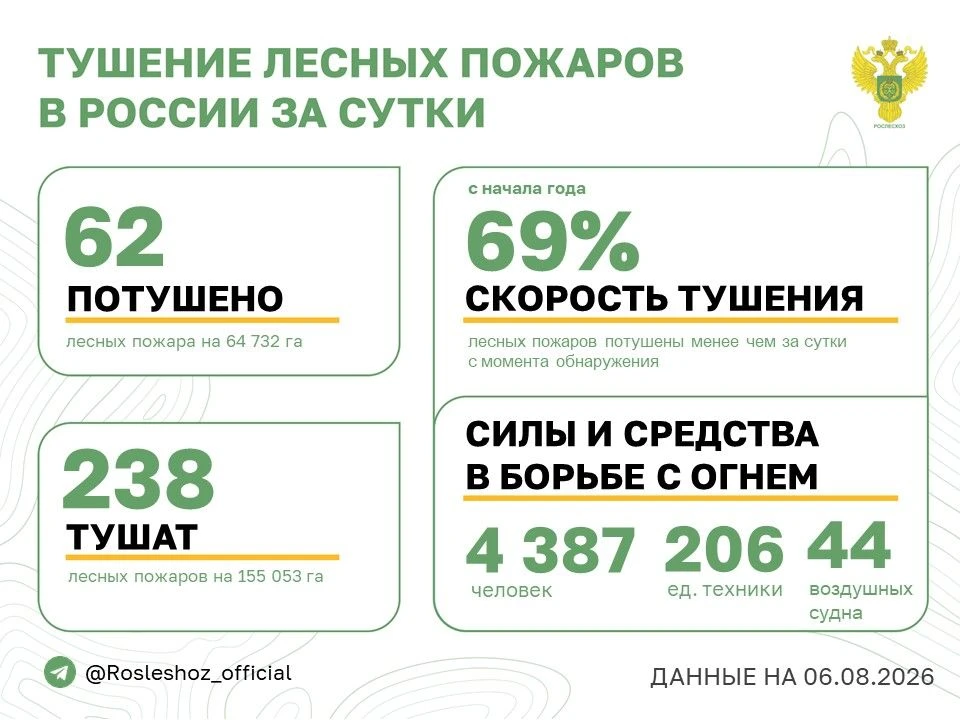 🟢 За прошедшие сутки в 17 регионах России потушили 62 лесных пожара.