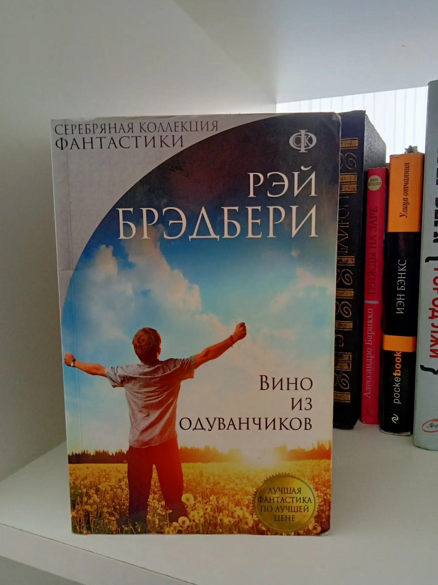 🌟Друзья! Новая рубрика для вас - "Книга дня"📕

🌞Лето всегда кажется бесконечным, пока однажды не 