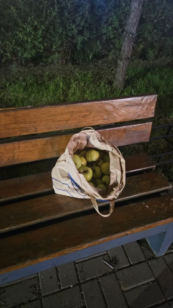 Валяющиеся где попало кабачки уже были, теперь сезон яблок 😁
