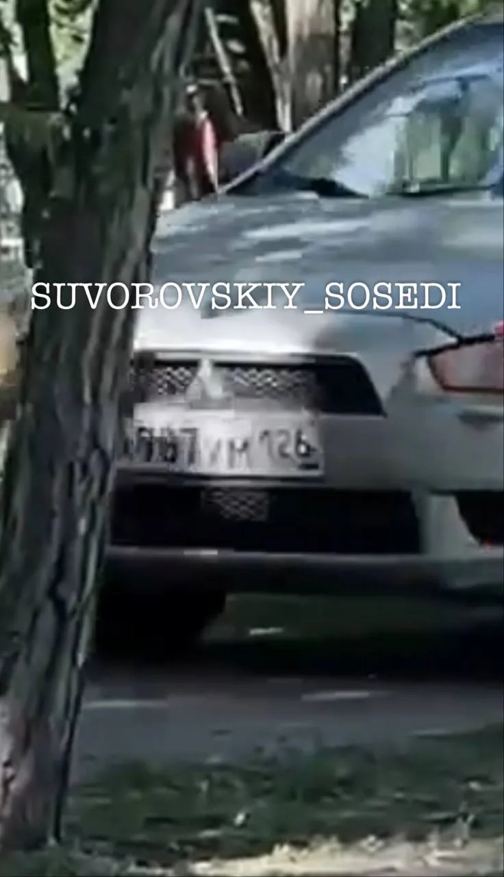 Слушайте, что только не творят на аллее в Суворовском!? 

Похороны у цыганей🪦 были, шашлыки регуляр