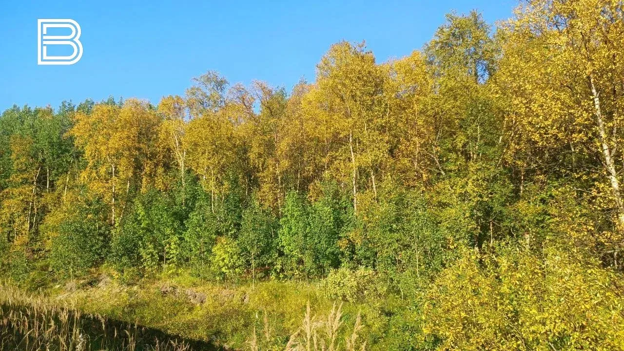 🌤По данным мурманского гидрометцентра, 13 сентября ожидается облачная с прояснениями п...