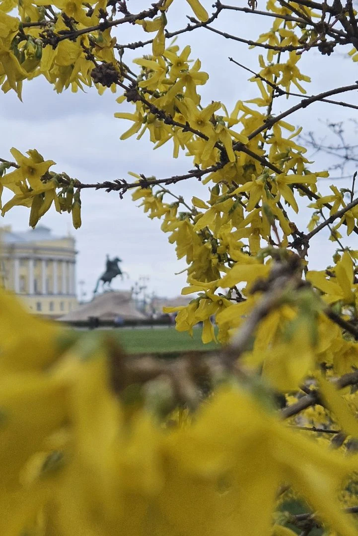 Работать гидом = любоваться городом каждый день💛

Путь гида | Александра Кудрявцева