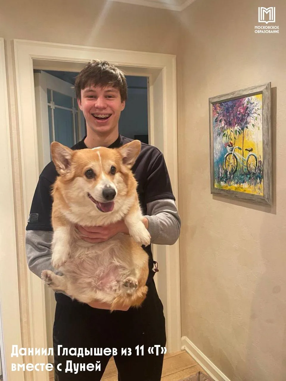 Гав-гав, сегодня отмечается день собак! 🐶