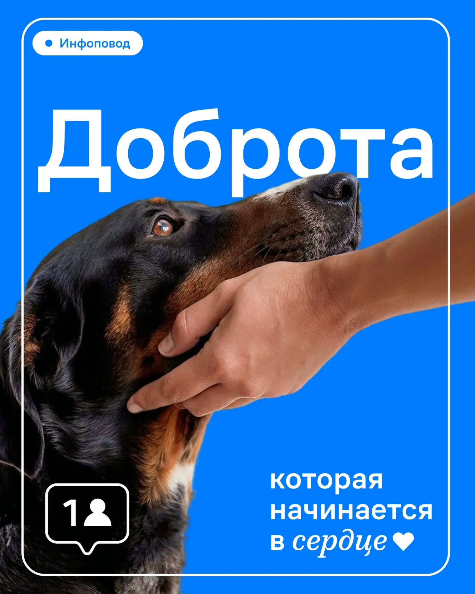 Дорогие жители🏠