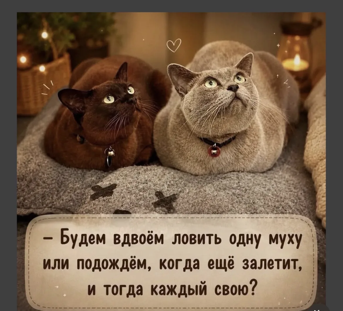 Когда вы на одной волне💕